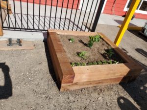 How to build a raised garden bed Step 6