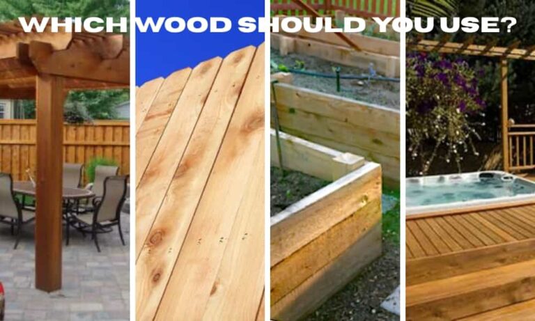 Should you use cedar or treated lumber for your project